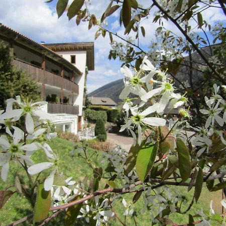 Natur Pur Hotel Unterpichl 울티모 외부 사진