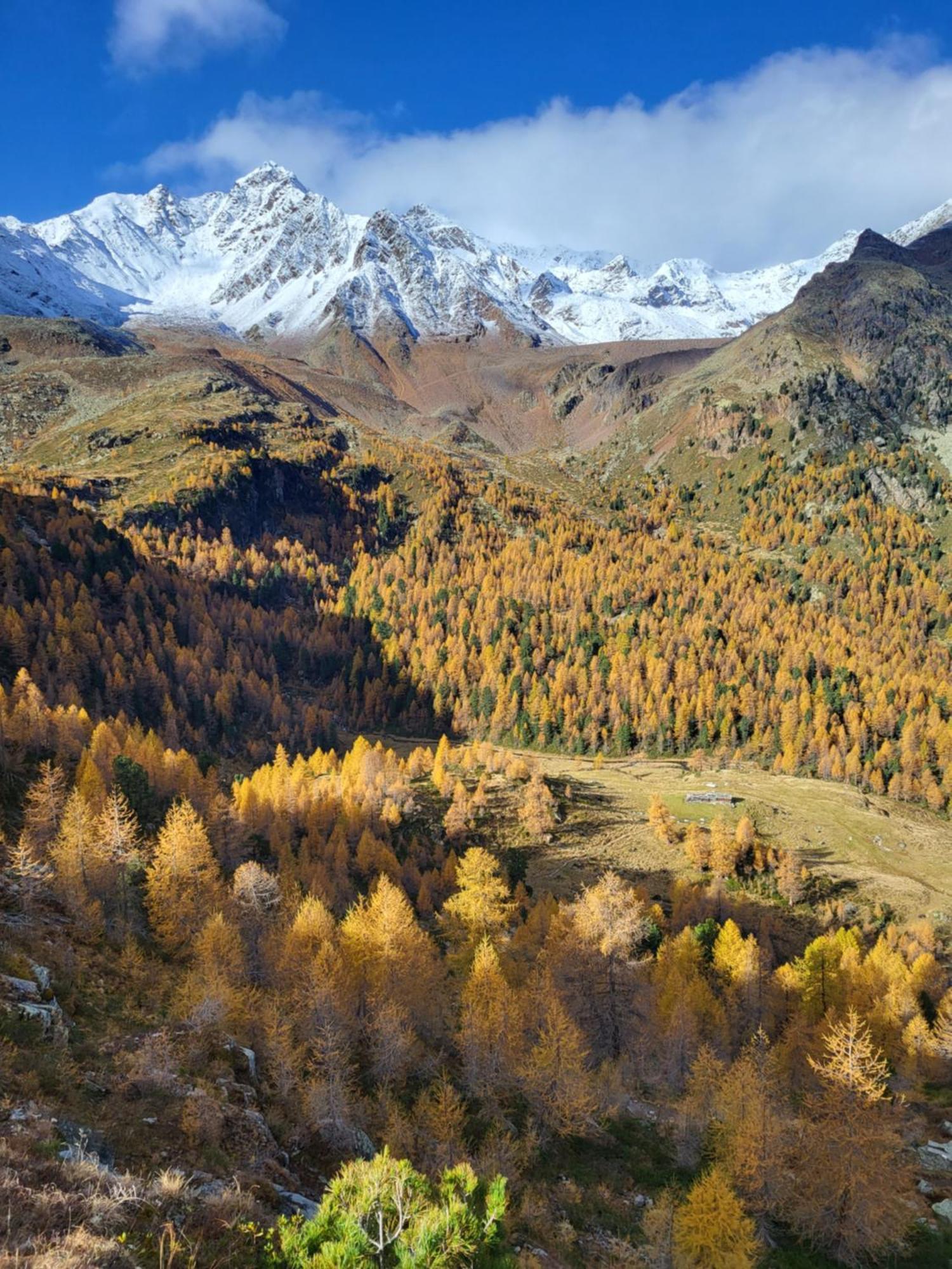 Natur Pur Hotel Unterpichl 울티모 외부 사진