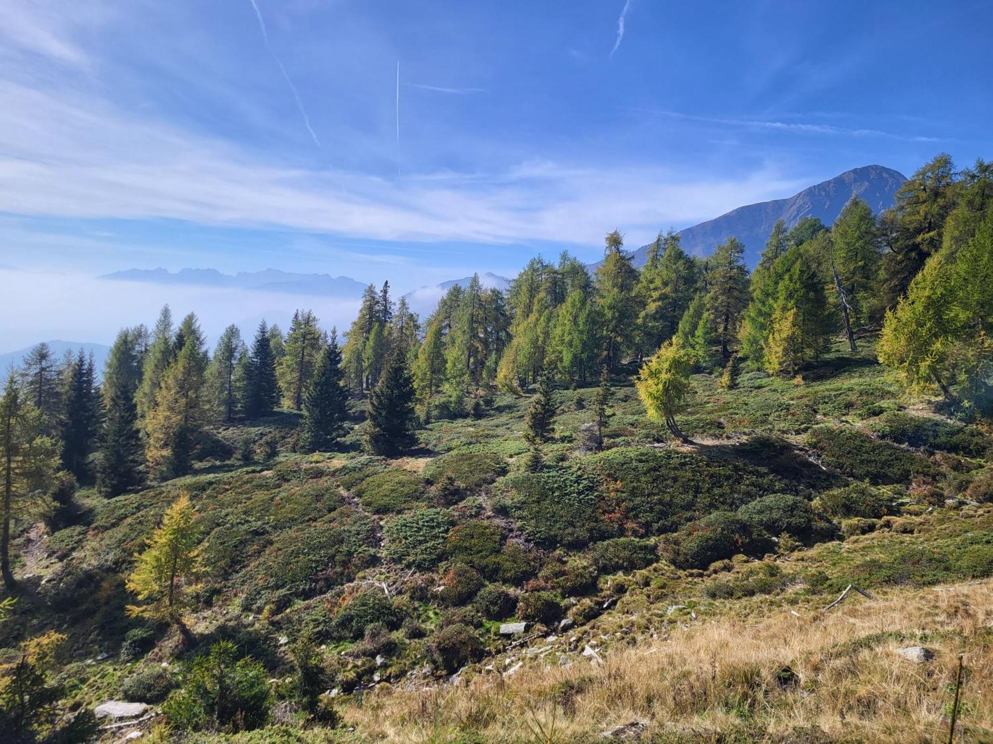 Natur Pur Hotel Unterpichl 울티모 외부 사진